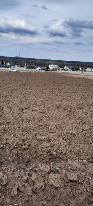 Продам земельну ділянку в селі Шкарівка