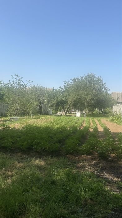 Продаж приватного будинку Нова Водолага