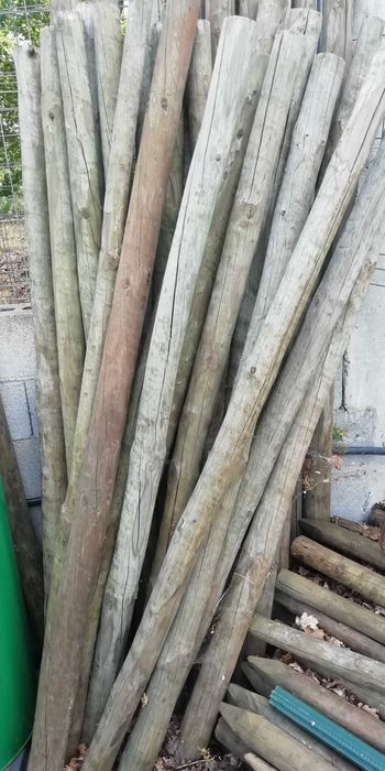 Postes paus madeira tratada