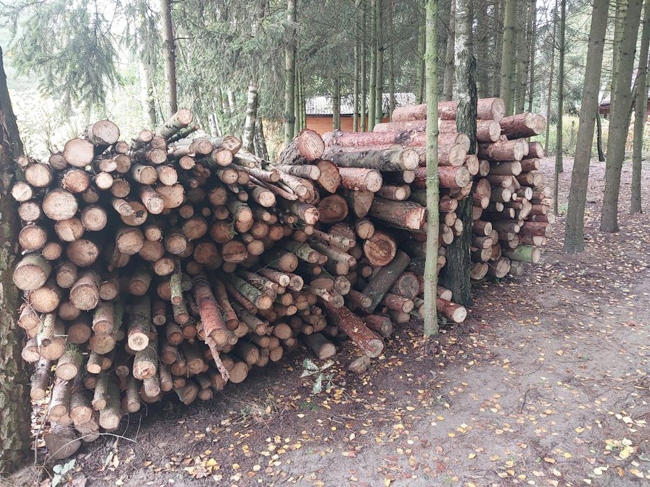 Drewno opałowe - sosna, świerk