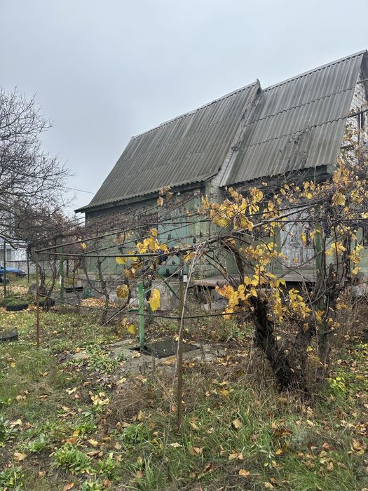 Продам дом в Куриловке