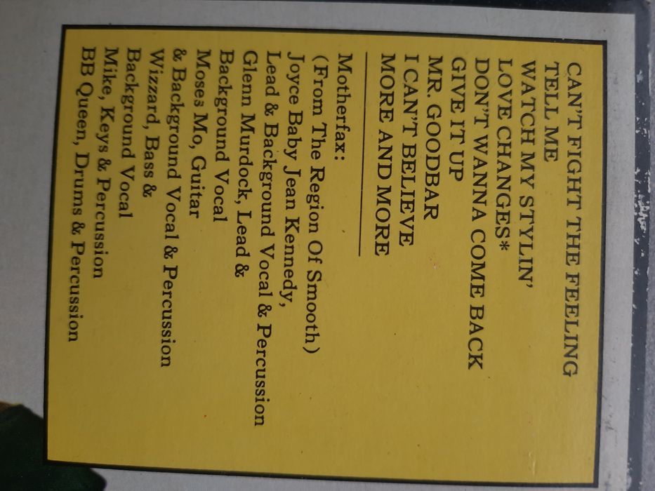 Płyta winylowa  Mother Factor