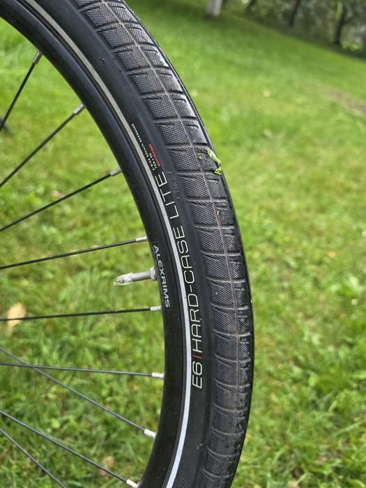 Elekrtyczny TREK District+ 7 – Bosch Active Line Plus 500 Wh – pasek – 2023 – Brooks B135 - Ładowarka Bosch
