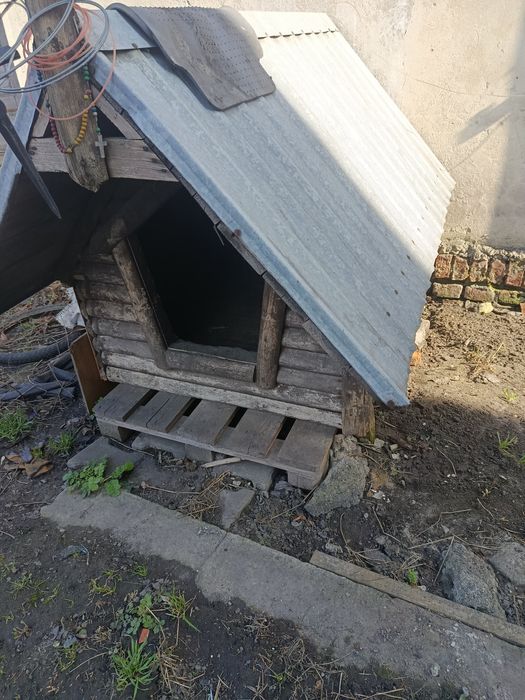 Buda dla psa ocieplona