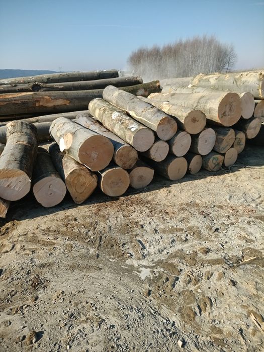 Drewno kominkowe opałowe