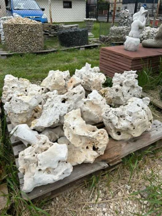 WAPIEŃ FILIPIŃSKI Skała Wapienna Kamień Naturalny Akwarium Terrarium
