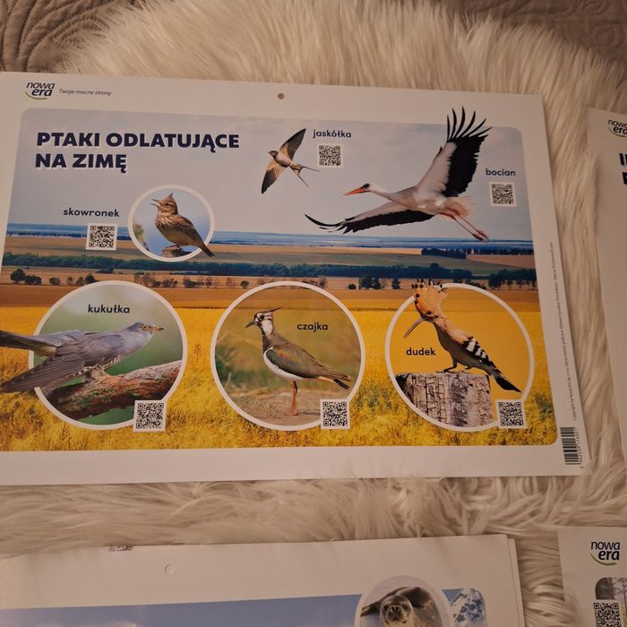 Tablice, plansze demonstracyjne nowa era  3-6  latki przedszkole zerów