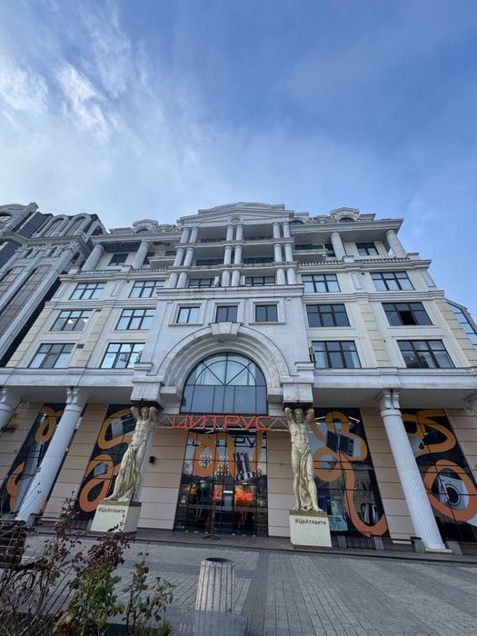 Коммерческая недвижимость по адресу Куликово поле пл. (площадь 240 м²) - Atlanta.ua - фото 14