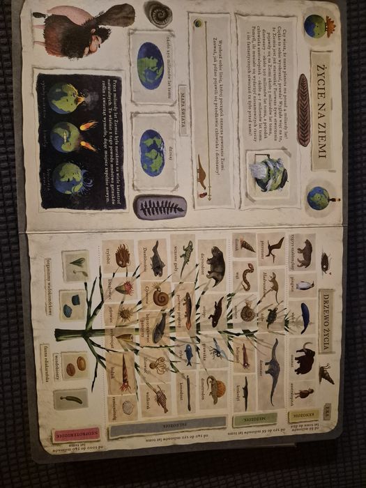 Książki - Dinozaury