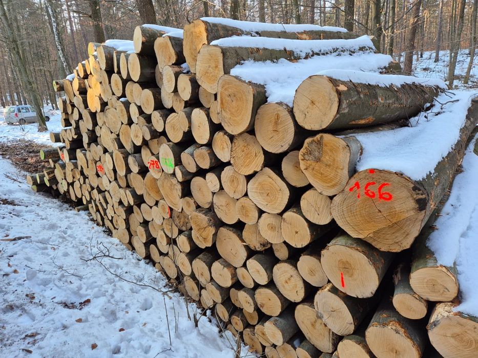 Drewno stosowe z przeznaczeniem na kominkowe buk, brzoza, dąb opałowe