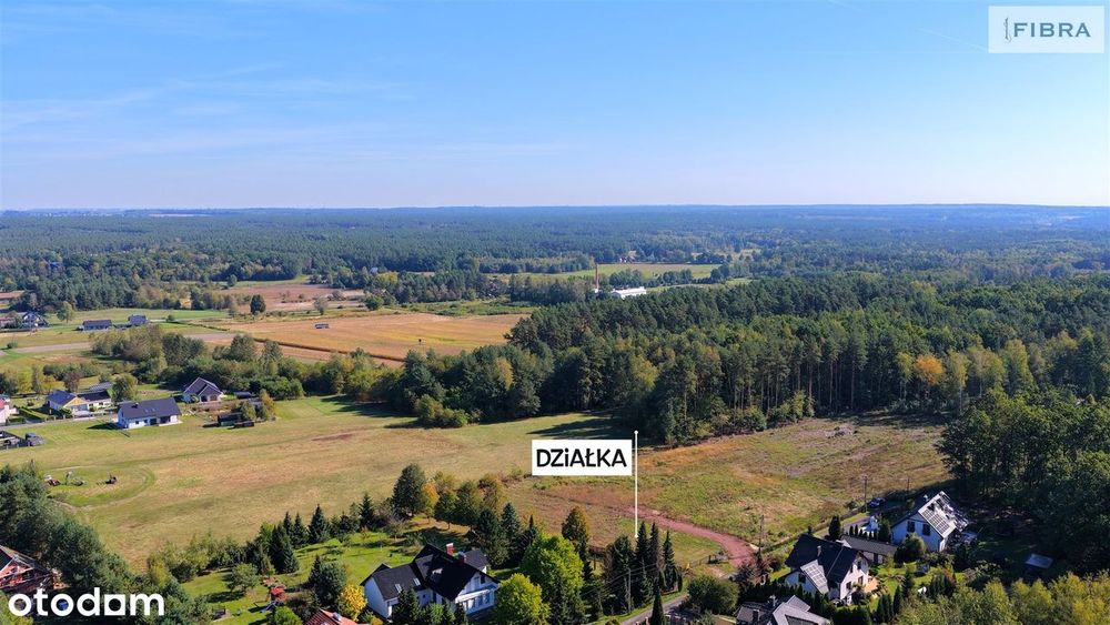 Tam, gdzie śpiewają ptaki