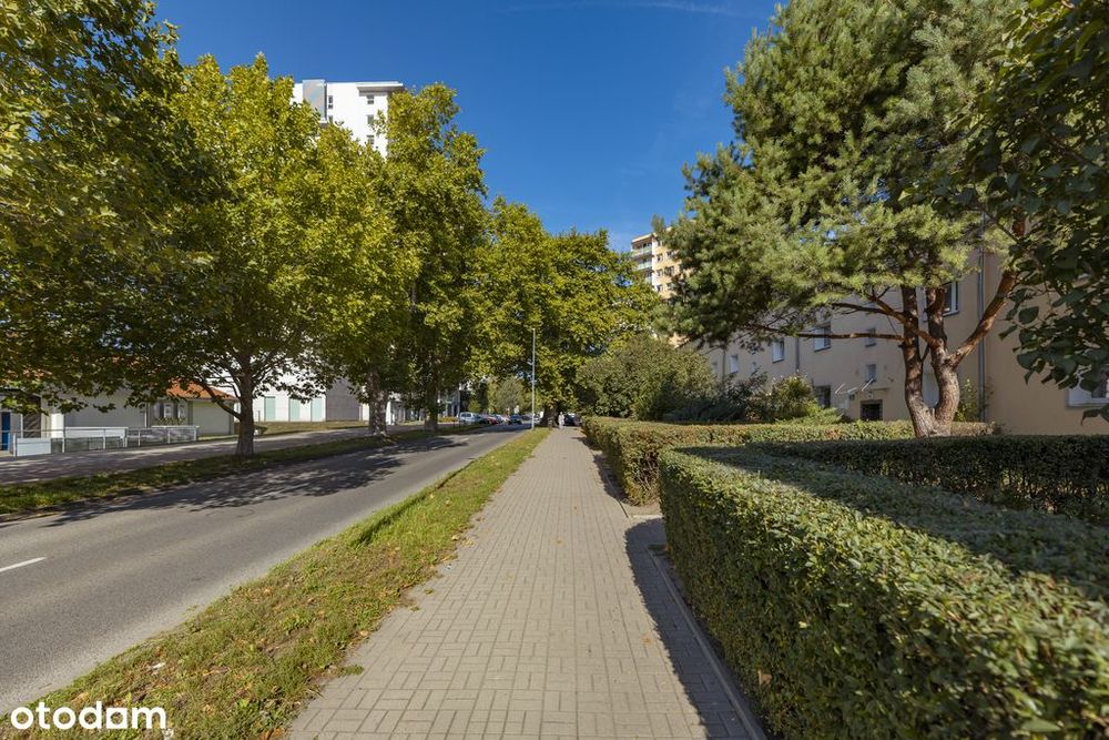 2 pokoje | Ogródek | Garaż | 2 piwnice