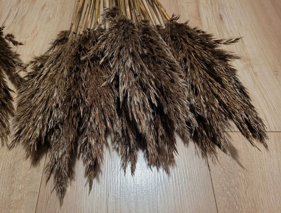 Muszle (winniczek) dekorowane, suszone kwiaty na wianki