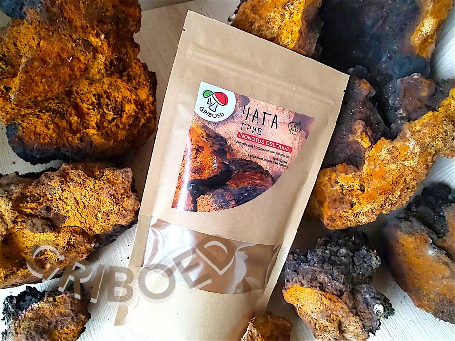 ЧАГА гриб 300 грамм! Сухой перемолотый. Эликсир здоровья и долголетия!