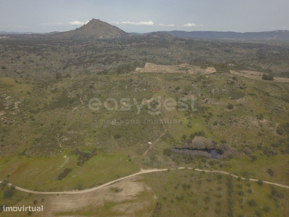 Herdade de 2,725 hectares junto a Monsanto e Idanha-a-Velha | Natur...