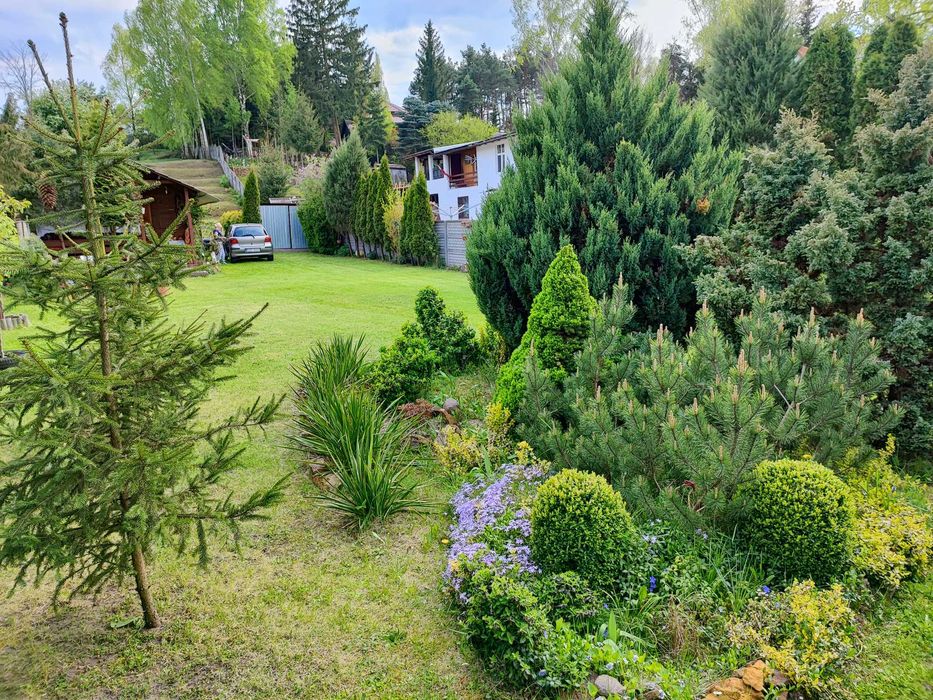 WYJATKOWA OKAZJA! Przepiękna działka budowlano-rekreacyjna 1179 m² | Własność | 60m od Pilicy | Inowłódz - Widok 4