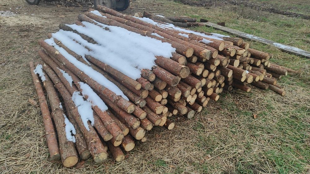 Sprzedam kołki słupki faszynowe