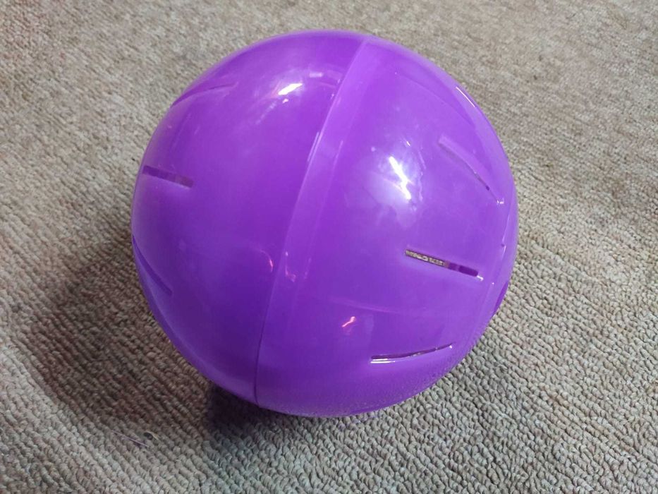 Bola para hamster