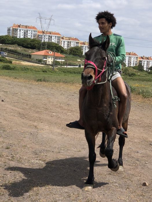 Égua garrana muito mansinha 10 anos bem montada puxa carroça