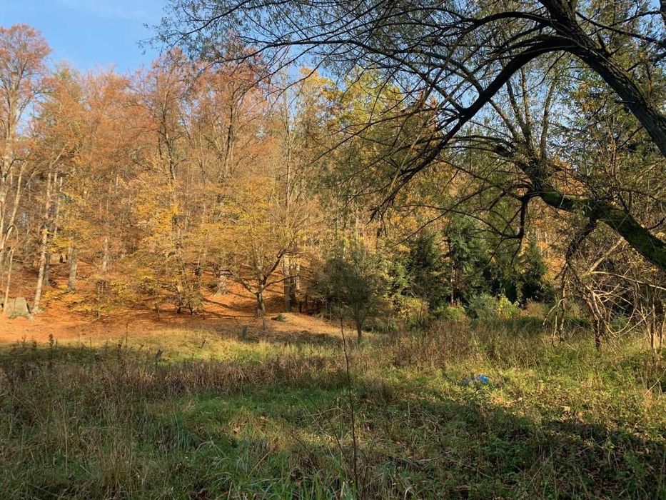 Działka budowlana Staniszów - Widok 3