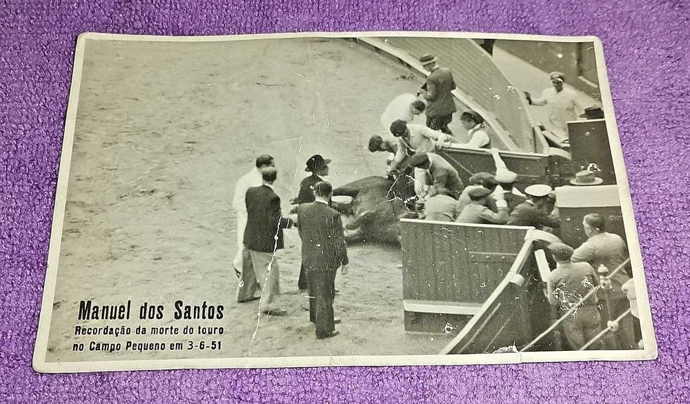 O primeiro touro foi morto em Portugal em 1931por Manuel dos Santos