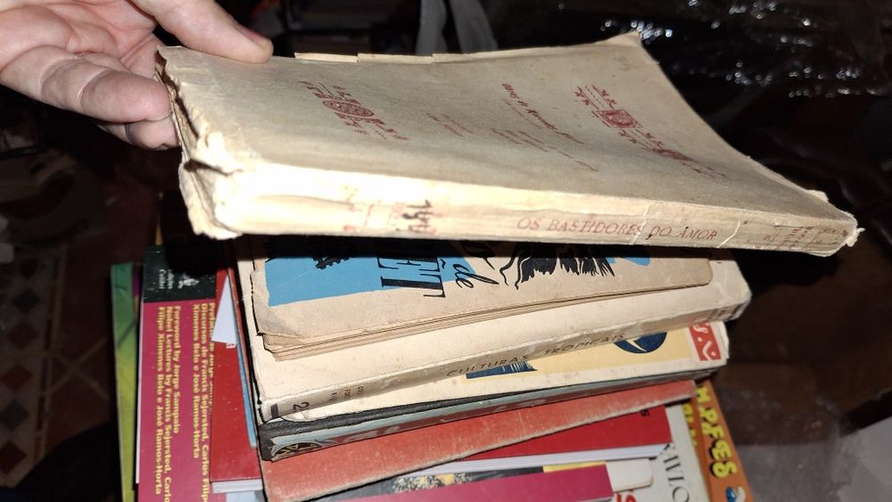 Mercedes Blasco os bastidores do amor 1922 raro