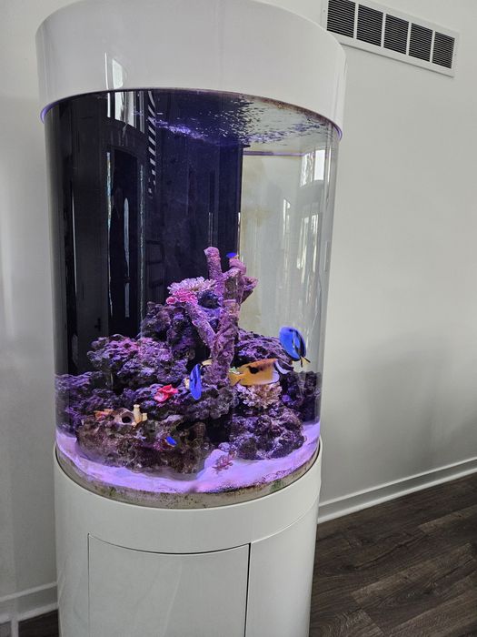 ai prime 16hd - akwarystyka - zwierzęta, sprzęt i akcesoria | OLX