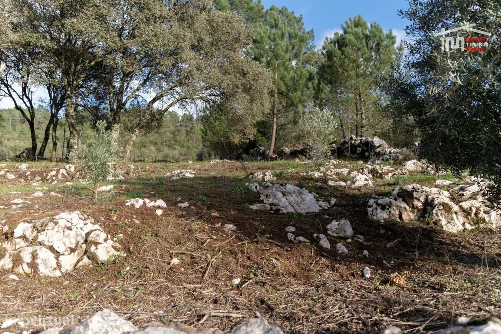 Terreno Para Construção Com Area De 1240 M2 Em Vale Sobreiro São Ma...