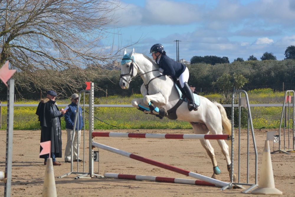 Cavalo PSL de obstáculos