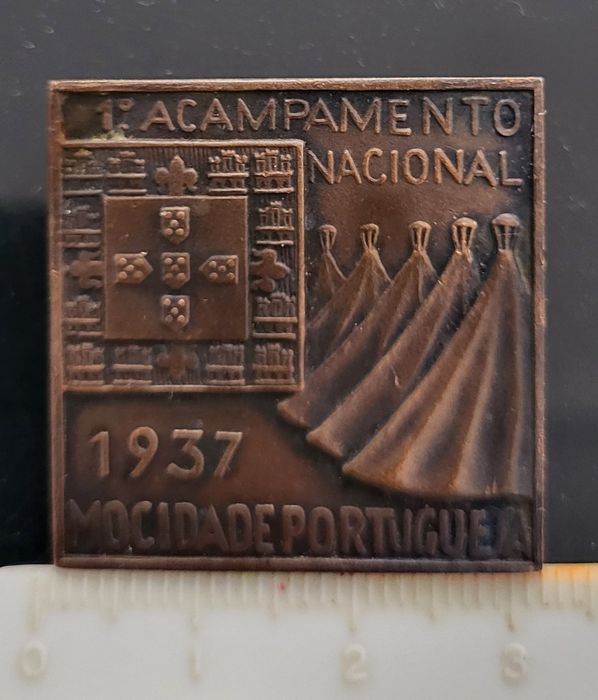Pin do primeiro acampamento Nacional da MP