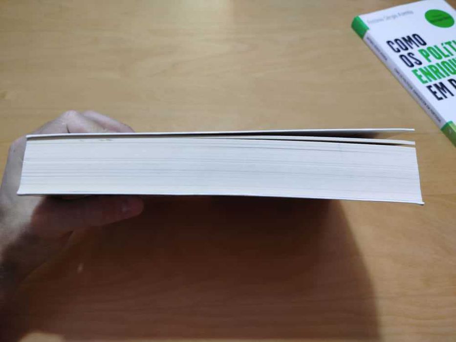 Livro O meu programa de governo, de José Gomes Ferreira