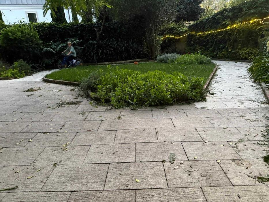 Limpeza de Jardim