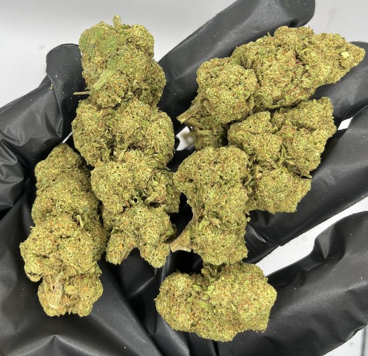 1kg susz CBD Blackberry/THC<0.3%