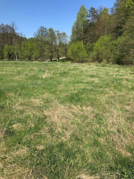 Продам земельну ділянку у Середкевичах під форелеве господарство .