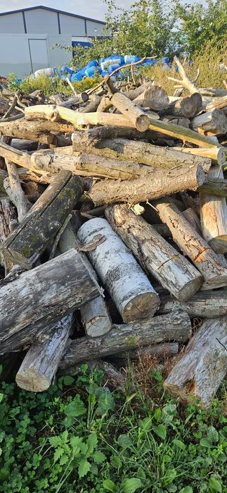 Drzewo opałowe sosnowe,