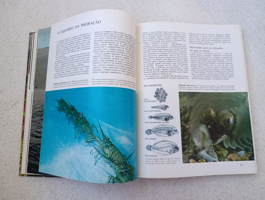 Livros Segredos do Mar