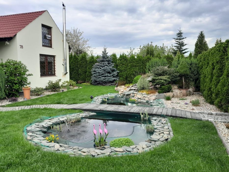 Działka ROD z domem całorocznym