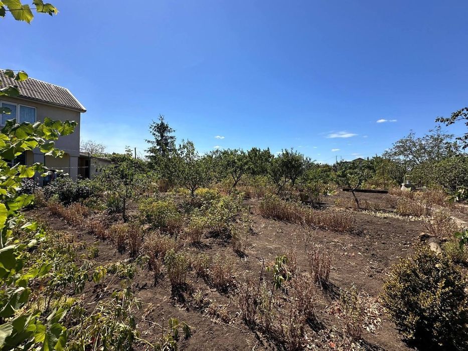 Продажа уютной дачи в Алтестово