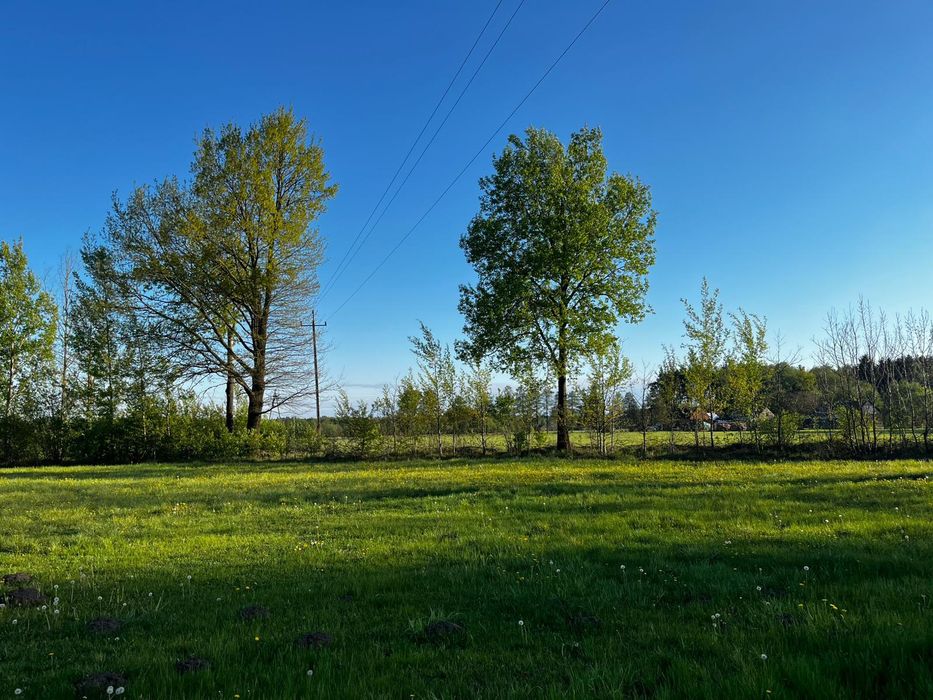 Działki z WZ - Miłkowo - Widok 6
