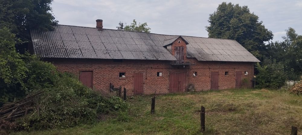 Sprzedam dom gospodarstwo rolne 5ha z budynkami - Widok 5