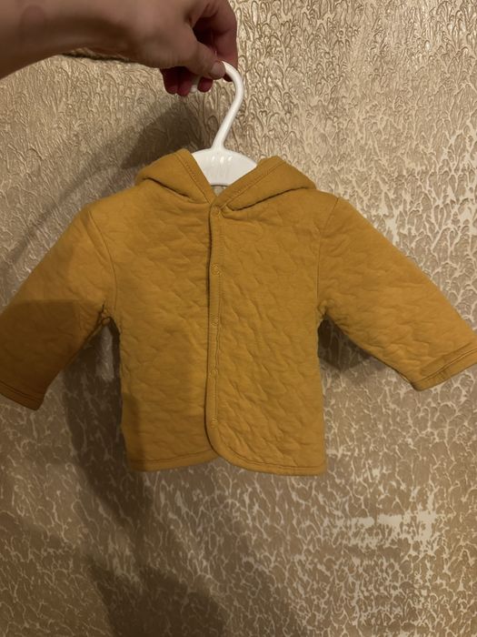 Кофинка дятяча