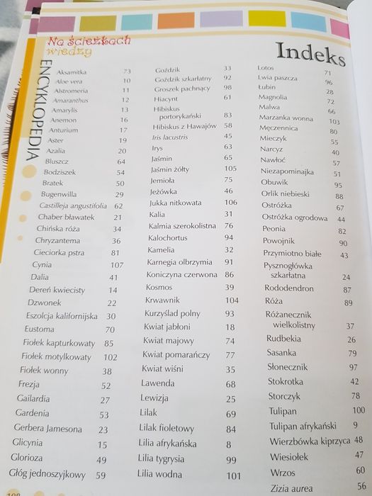 Encyklopedia na ścieżkach wiedzy 100 bezkręgowców, kwiatów, ptaków