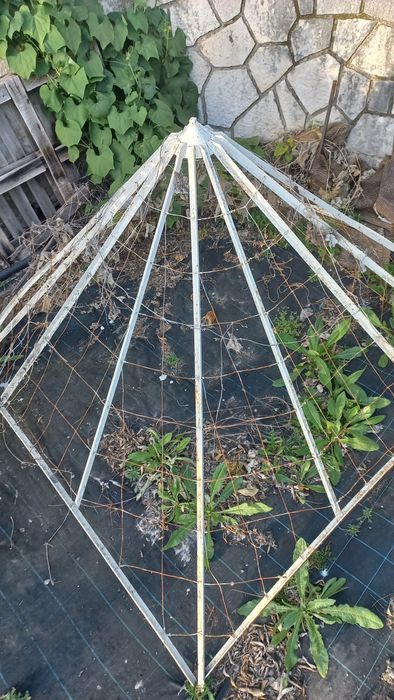 Cúpula de ferro (Antiguidades)