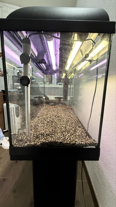 Aquário grande com termoestato