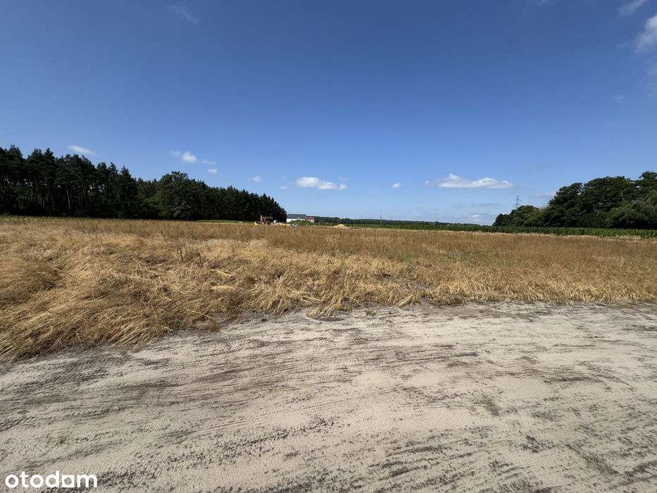Działki budowlane VIP pod lasem - różne powierzchnie, dużo możliwości