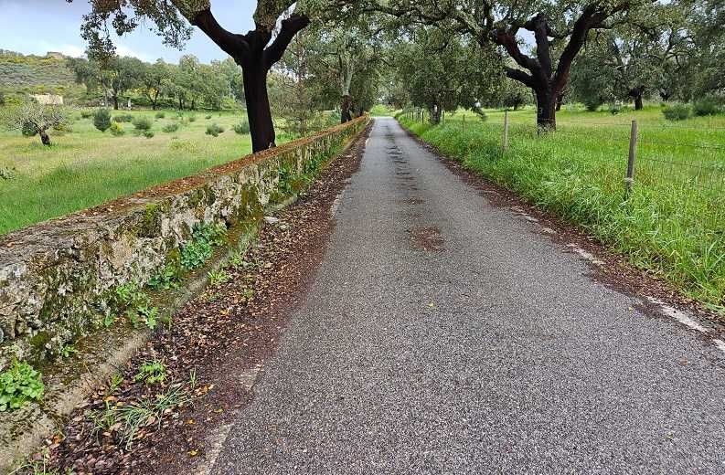 Quinta a 2Kms da cidade Castelo Branco 12,69 Hectares