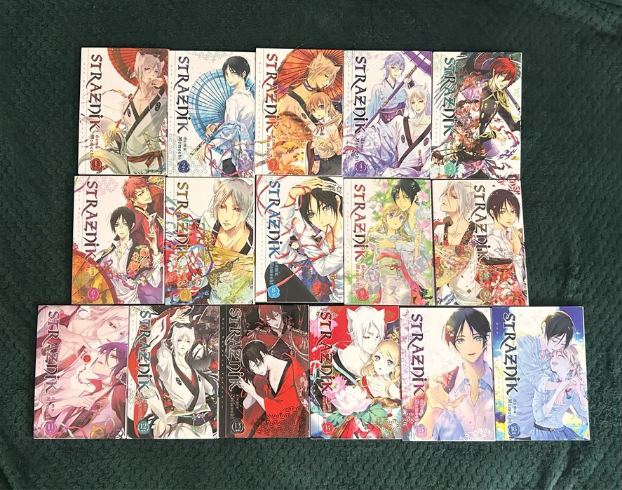 Seria "Strażnik domu Momochi" - Aya Shouoto