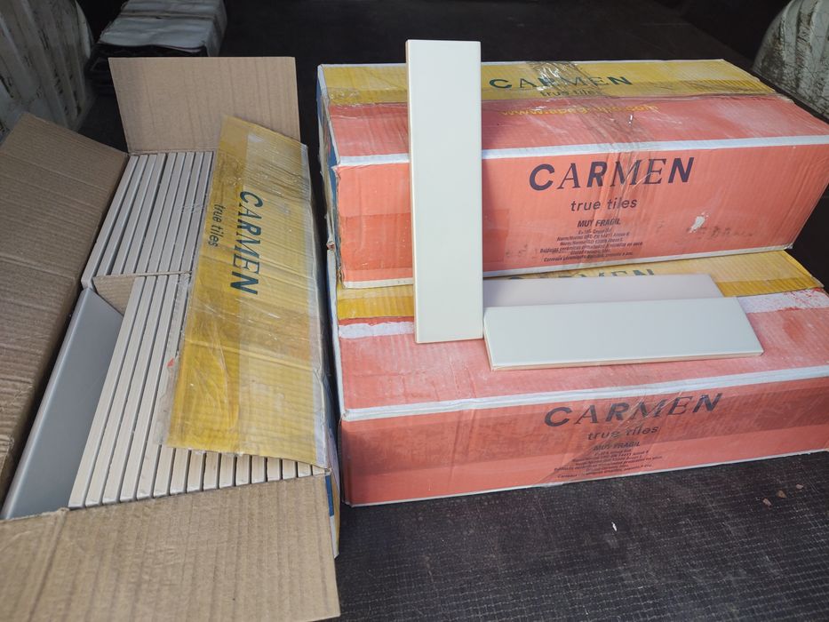 Плитка керамічна настінна  Carmen true tiles