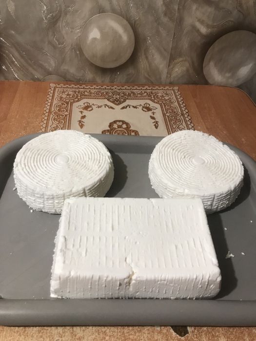 Продам домашню бринзу