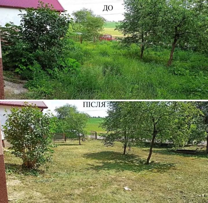 Професійна стрижка рослин і газонів, розчищення ділянок